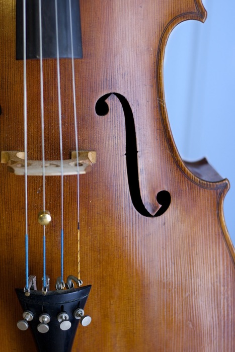 cello