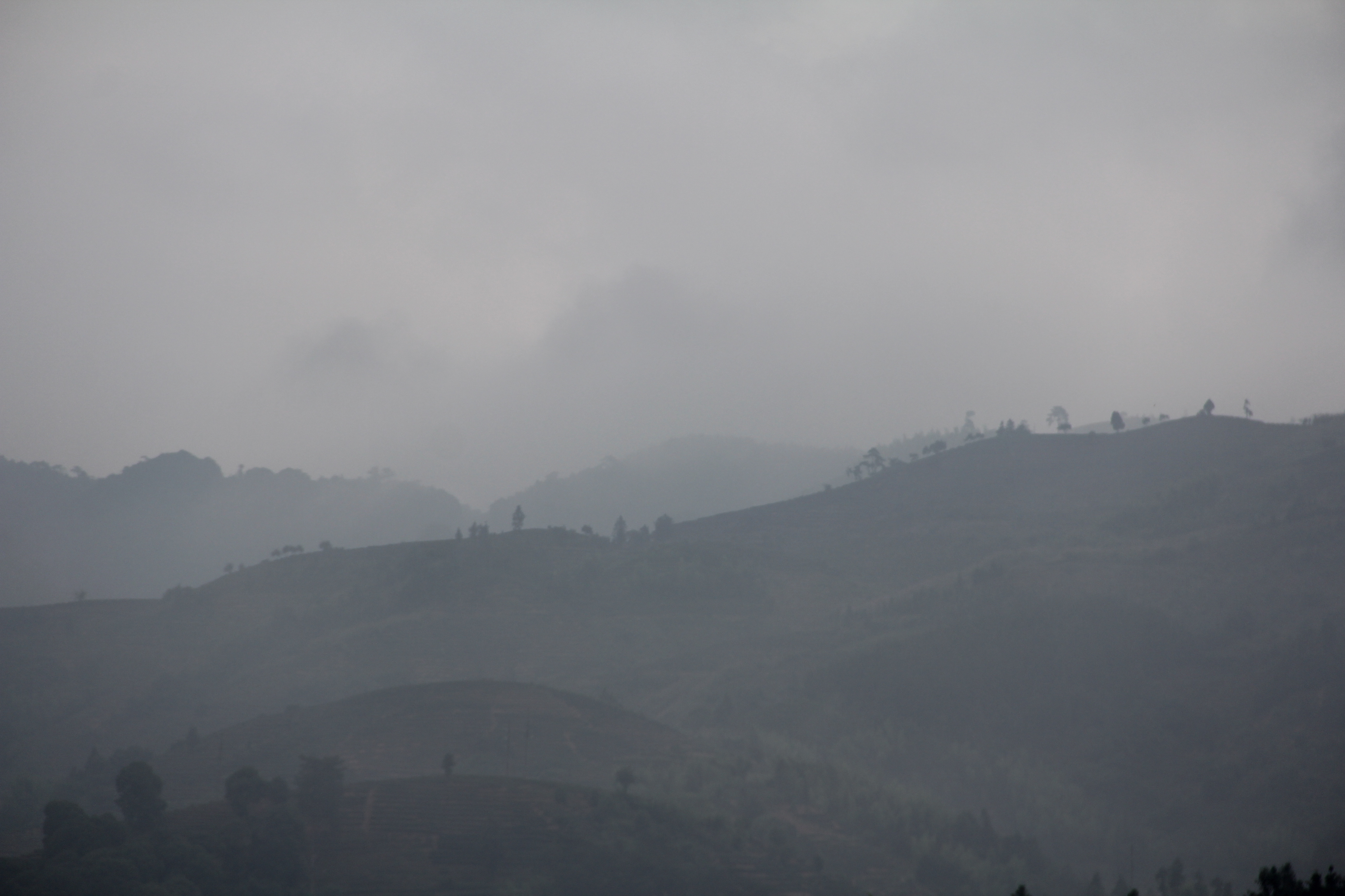 foggy hills